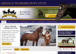 Arnage-Warmblood-Stud