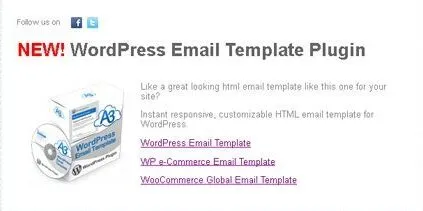 WP email Template Footer