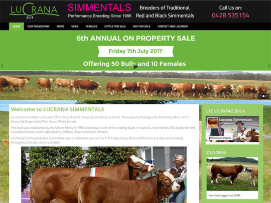 LUCRANA SIMMENTALS