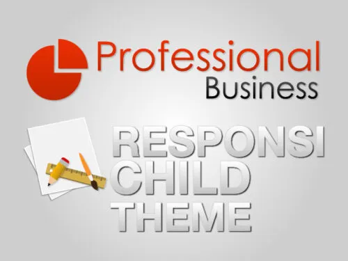 Professional Child Theme