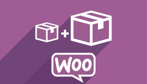 Responsi WooCommerce Product Options